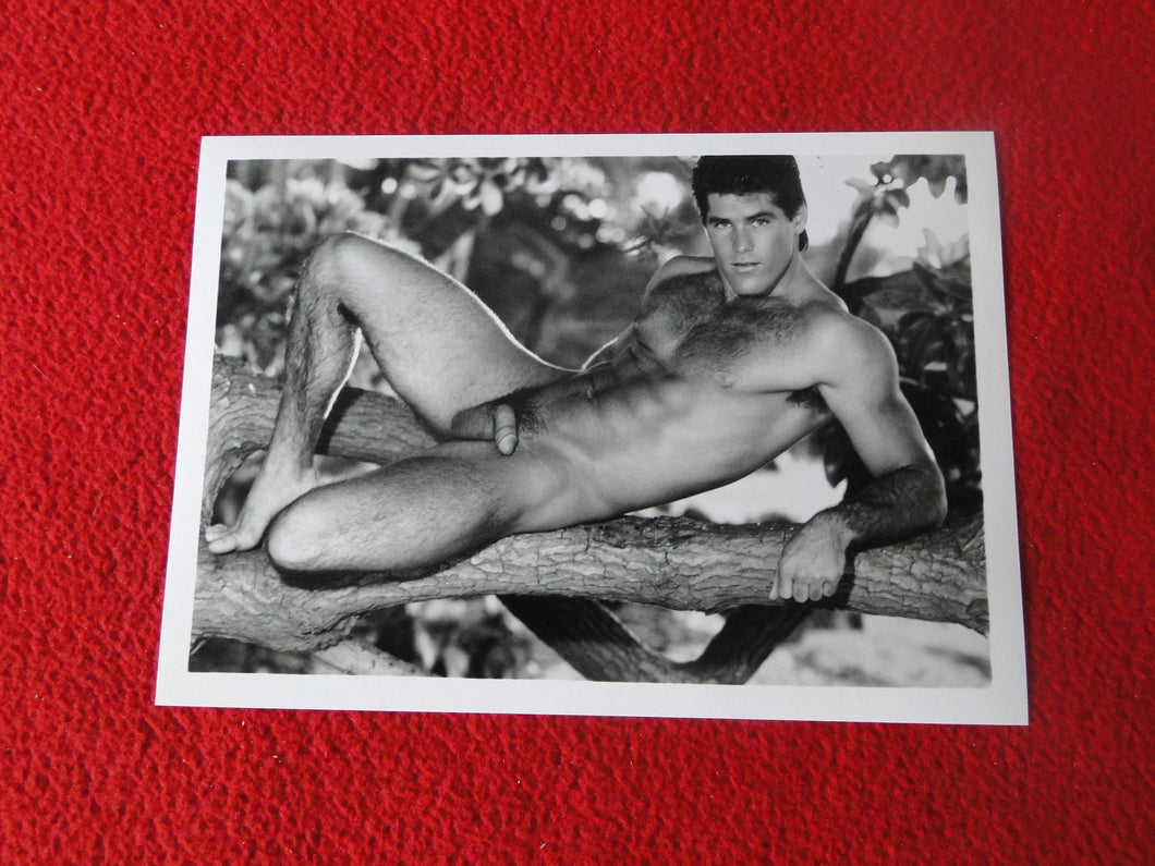 Vintage 18 Y.O. + Gay Interest Colt/Fox/Chippendale Nude Hot Male Photo     D263