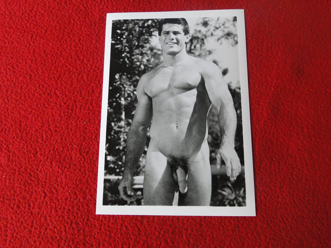 Vintage 18 Y.O. + Gay Interest Colt Nude Hot Hung Muscle Male Photo     D264