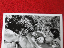 Load image into Gallery viewer, Vintage 18 Y.O. + Gay Interest Colt Nude Hot Hung Muscle Male Photo     D267
