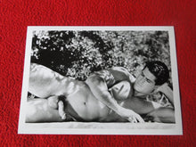 Load image into Gallery viewer, Vintage 18 Y.O. + Gay Interest Colt Nude Hot Hung Muscle Male Photo     D267
