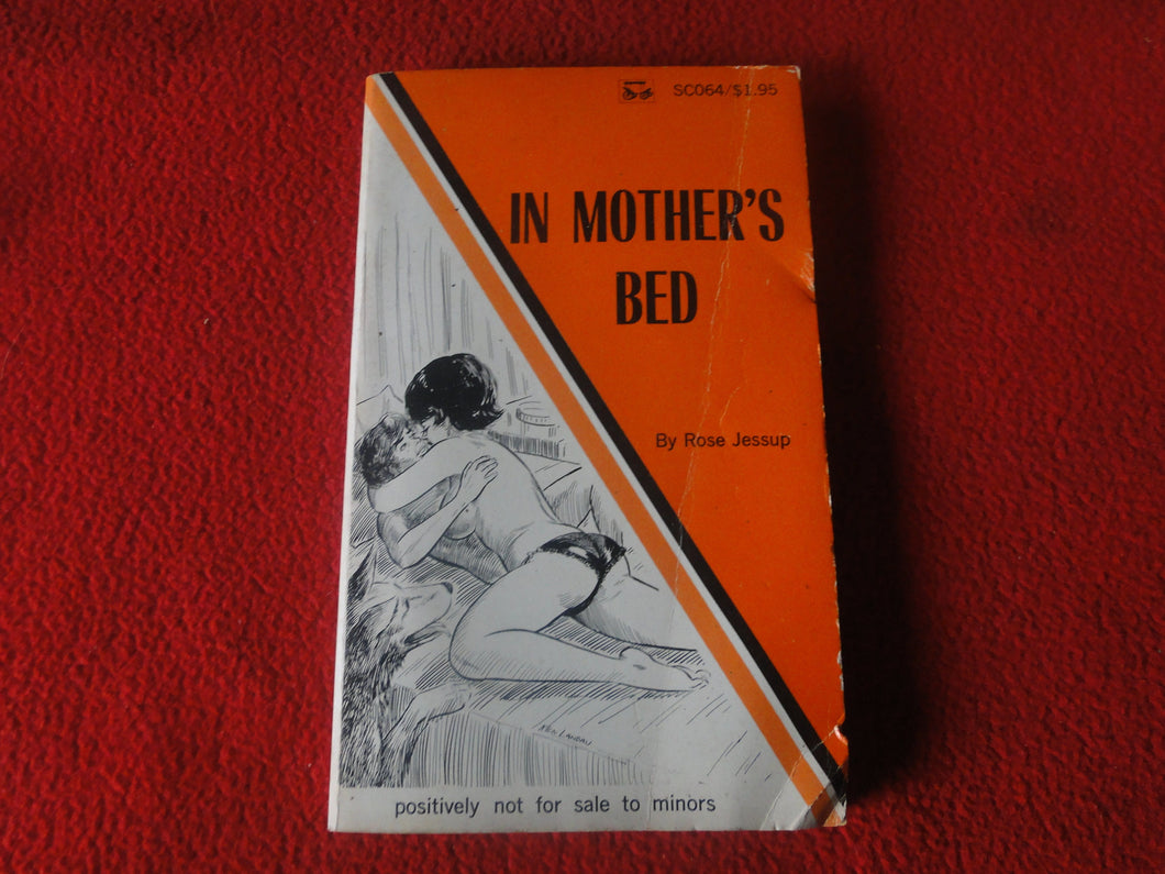 Vintage Adult Paperback Novel/Book In Mother's Bed          P15