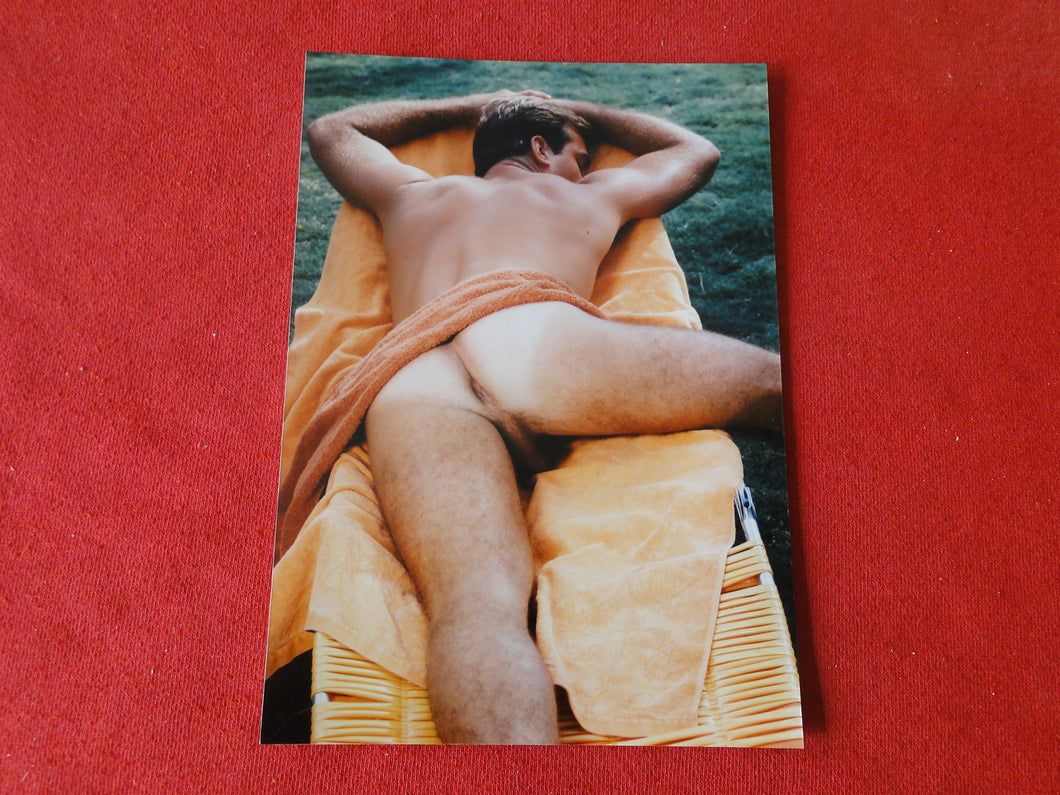 Vintage 18 Y.O + Gay Interest Colt Studios Nude Hot Hung Male Photo        AH2
