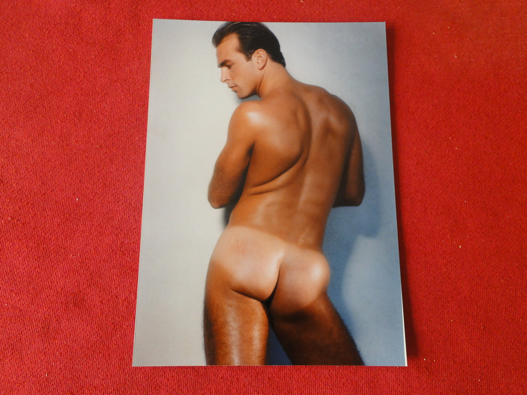 Vintage 18 Y.O + Gay Interest Colt Studios Nude Hot Hung Male Photo        AH3