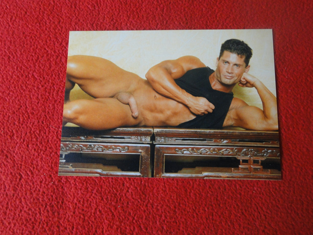 Vintage 18 Y.O. + Gay Interest Colt Nude Hot Hung Muscle Male Photo     D2617