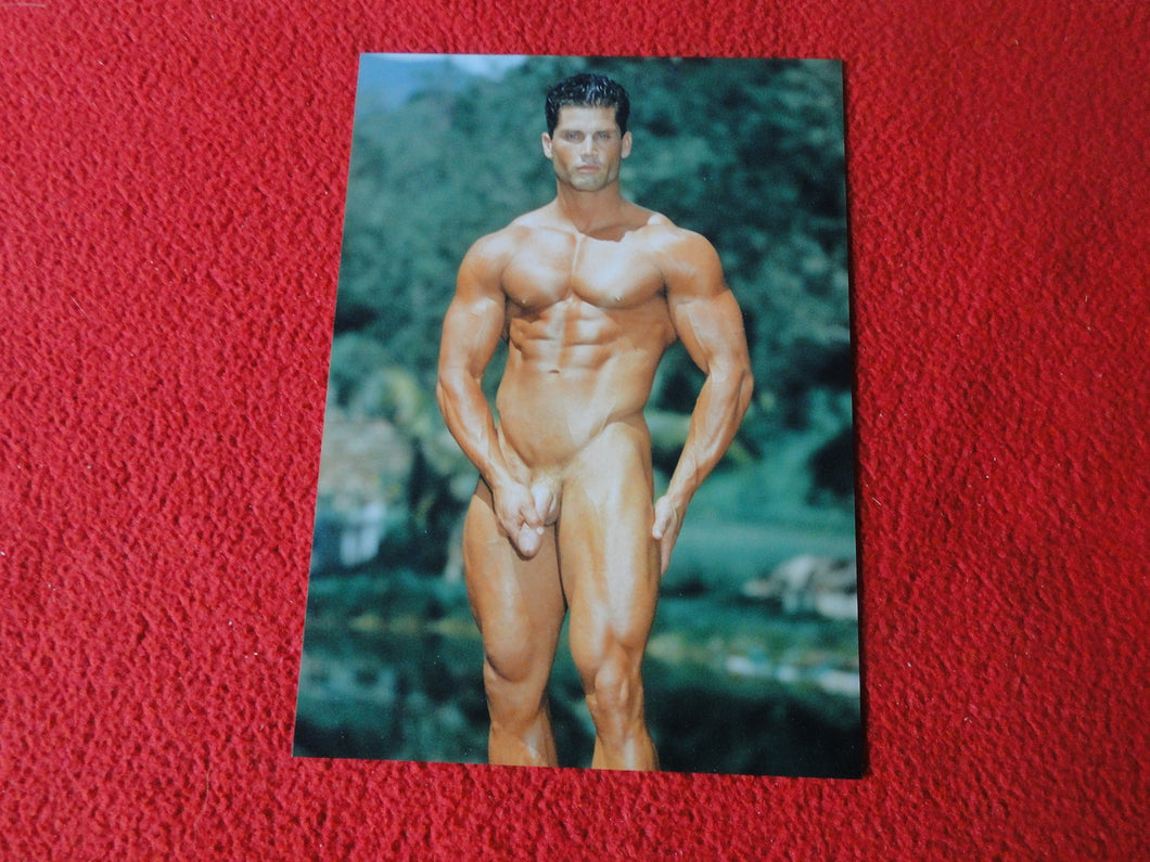 Vintage 18 Y.O. + Gay Interest Colt Nude Hot Hung Muscle Male Photo     D2619