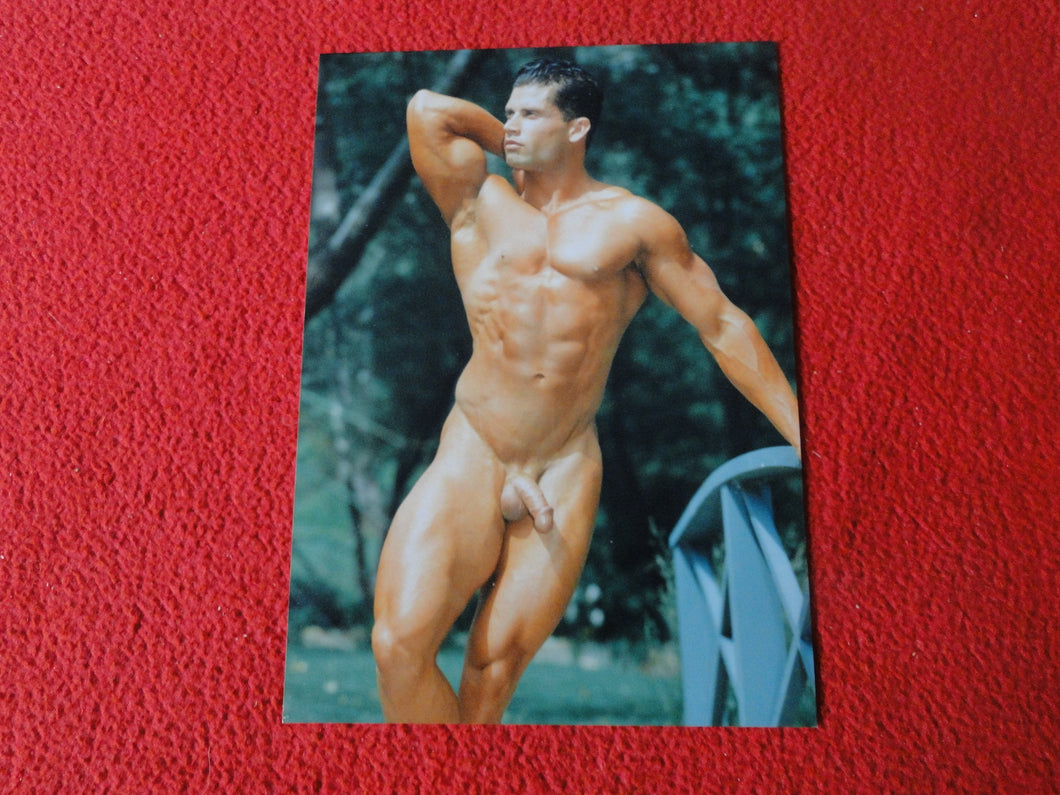 Vintage 18 Y.O. + Gay Interest Colt Nude Hot Hung Muscle Male Photo     D2625