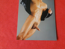 Load image into Gallery viewer, Vintage 18 Y.O + Gay Interest Colt Studios Nude Hot Hung Male Photo        AH13

