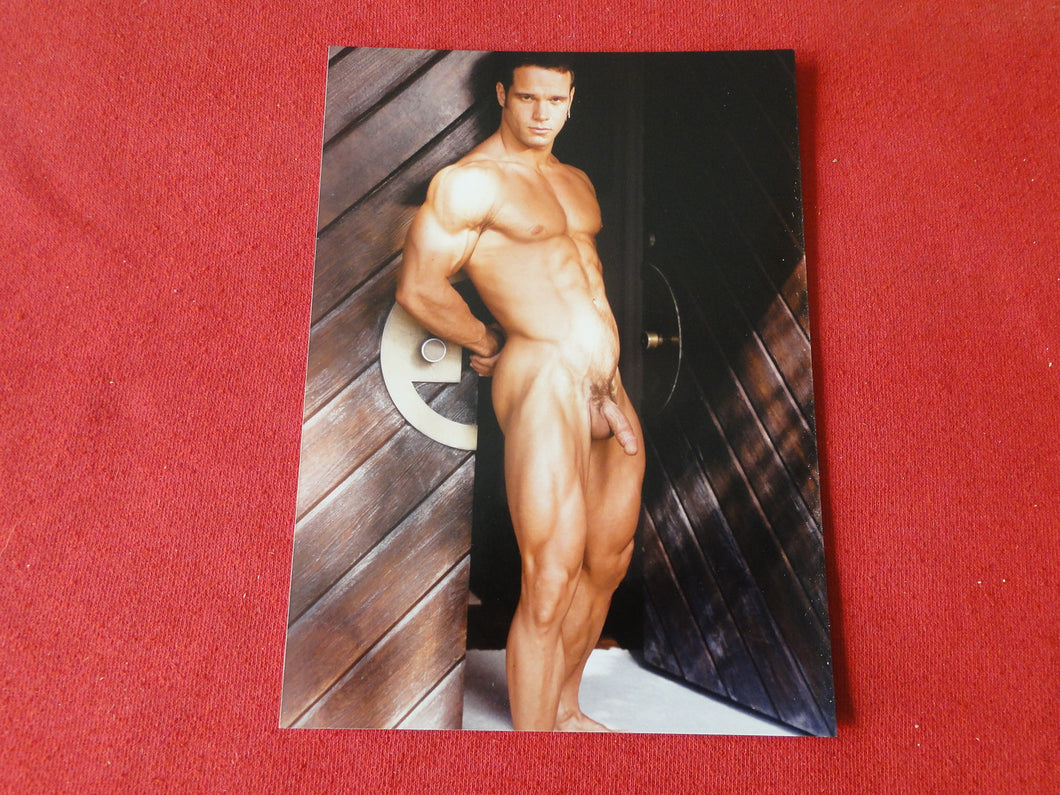 Vintage 18 Y.O + Gay Interest Colt Studios Nude Hot Hung Male Photo        AH19