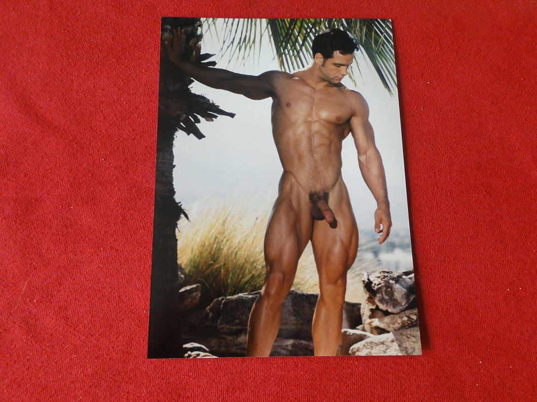 Vintage 18 Y.O + Gay Interest Colt Studios Nude Hot Hung Male Photo        AH20