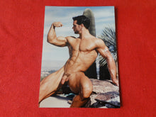 Load image into Gallery viewer, Vintage 18 Y.O + Gay Interest Colt Studios Nude Hot Hung Male Photo        AH21
