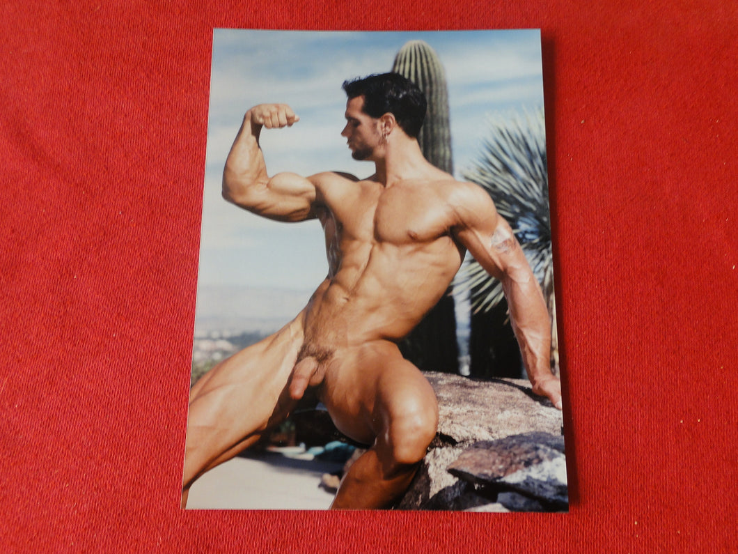 Vintage 18 Y.O + Gay Interest Colt Studios Nude Hot Hung Male Photo        AH21