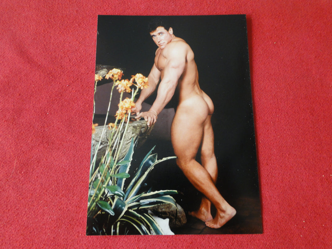 Vintage 18 Y.O + Gay Interest Colt Studios Nude Hot Hung Male Photo        AH23