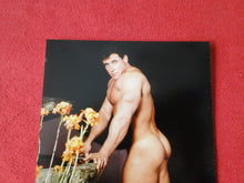 Load image into Gallery viewer, Vintage 18 Y.O + Gay Interest Colt Studios Nude Hot Hung Male Photo        AH23
