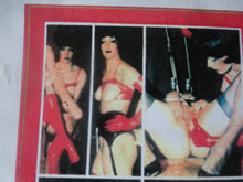 Load image into Gallery viewer, Vintage Adult XXX VHS Porn Tape Bizarr Perverse Anal     P53
