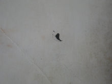 Load image into Gallery viewer, Vintage 18 YO+ Sexy Erotic Adult Paperback Book/ Novel Mary Had A Hot Ram  G1
