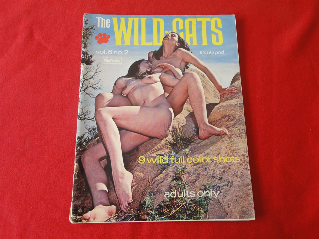 Vintage 18 Y.O. + Adult Erotic Men's Magazine The Wild Cats 1972         73