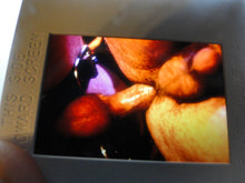 Load image into Gallery viewer, VINTAGE 35MM GAY MALE SLIDE BEEFCAKE MUSCLE NUDE FALCON STUDIOS JEk
