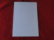 Load image into Gallery viewer, Vintage Erotic Sexy Adult Nude Woman Hairy Pussy Amateur Photo   GEd
