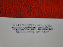Load image into Gallery viewer, Vintage 18 Y.O + Gay Interest Nude Hot Hung Male Photo Fox /Colt 5 x 7        D^1
