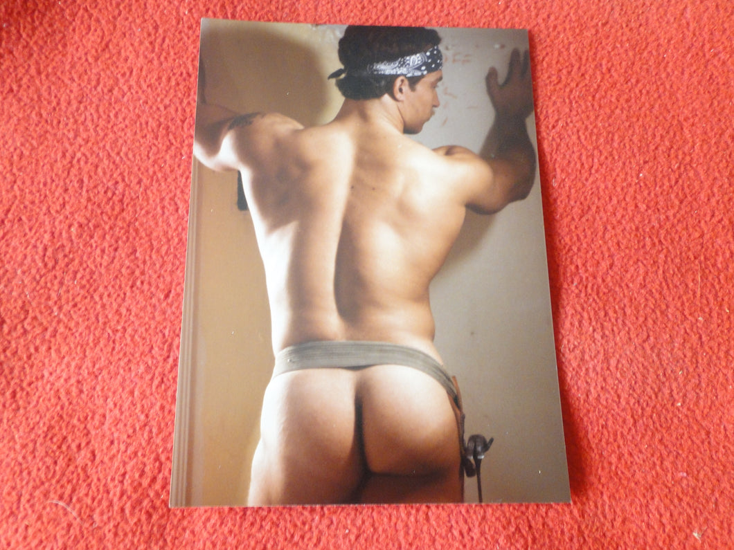 Vintage 18 Y.O + Gay Interest Nude Hot Hung Male Photo Fox /Colt 5 x 7        D^2