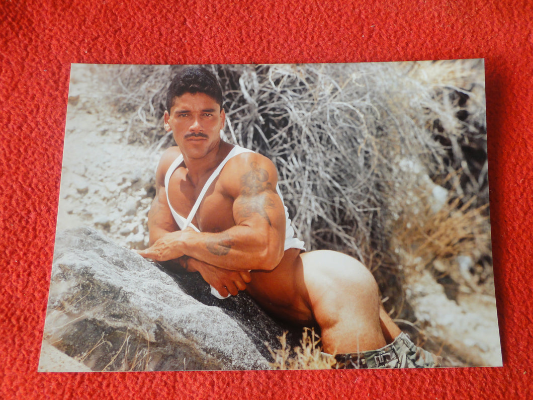 Vintage 18 Y.O + Gay Interest Nude Hot Hung Male Photo Fox /Colt 5 x 7        D^11