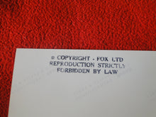 Load image into Gallery viewer, Vintage 18 Y.O + Gay Interest Nude Hot Hung Male Photo Fox /Colt 5 x 7        D^27
