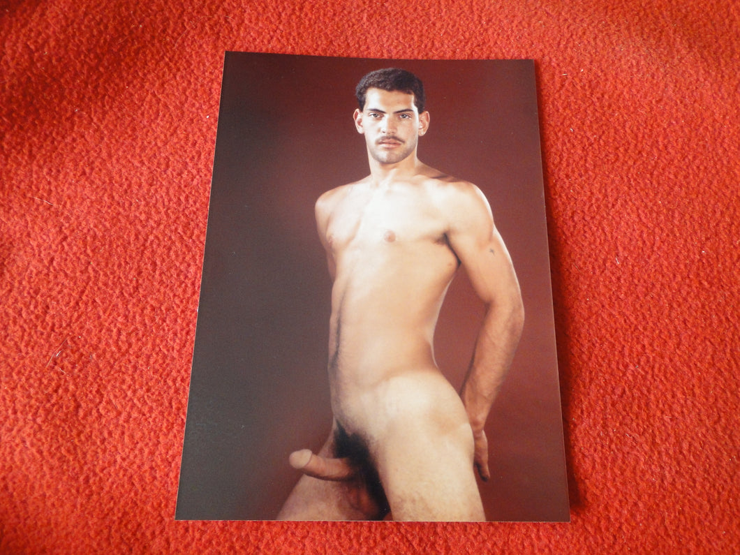 Vintage Gay Interest Muscular Hung Chippendale/Fox/Colt Nude Male Photo 5 x 7    D^5