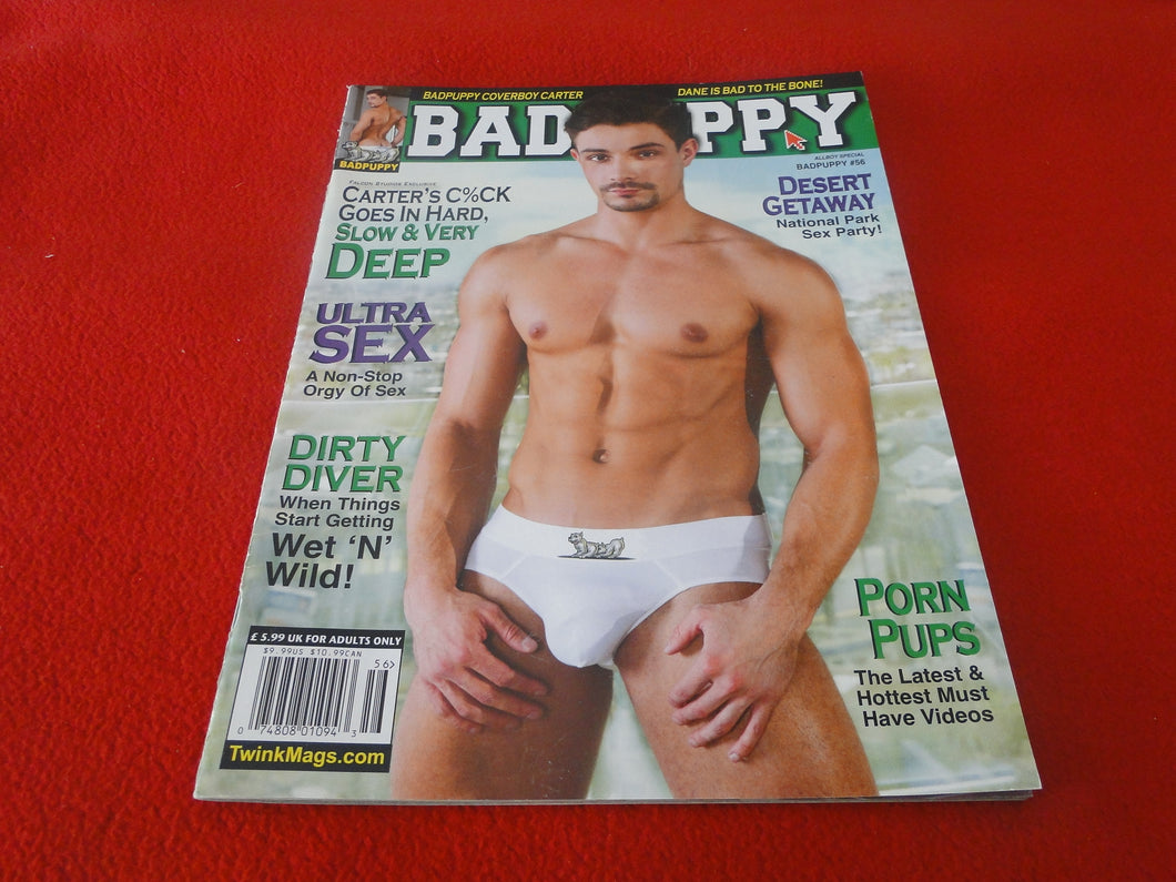 Vintage 18 Y.O. +  Adult Erotic Sexy Magazine Gay Interest BadPuppy #56           54