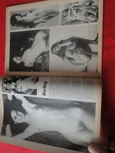 Load image into Gallery viewer, Vintage Nude Erotic Sexy Adult Magazine Debonair July 1976       P70
