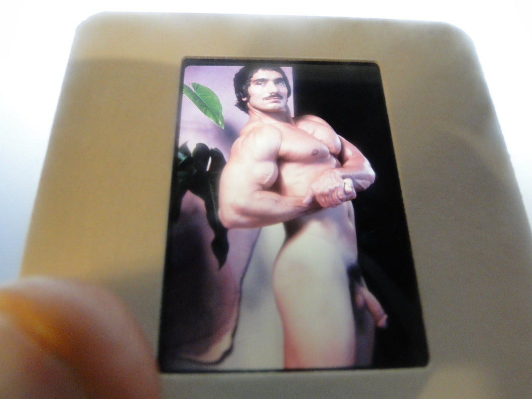 VINTAGE SLIDE/PHOTO MALE GAY INTEREST BEEFCAKE MUSCLE NUDE HOT HUNG A26e