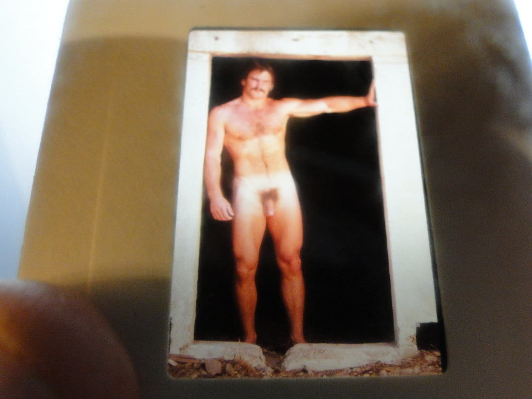 VINTAGE SLIDE/PHOTO MALE GAY INTEREST BEEFCAKE MUSCLE NUDE HOT HUNG A26m