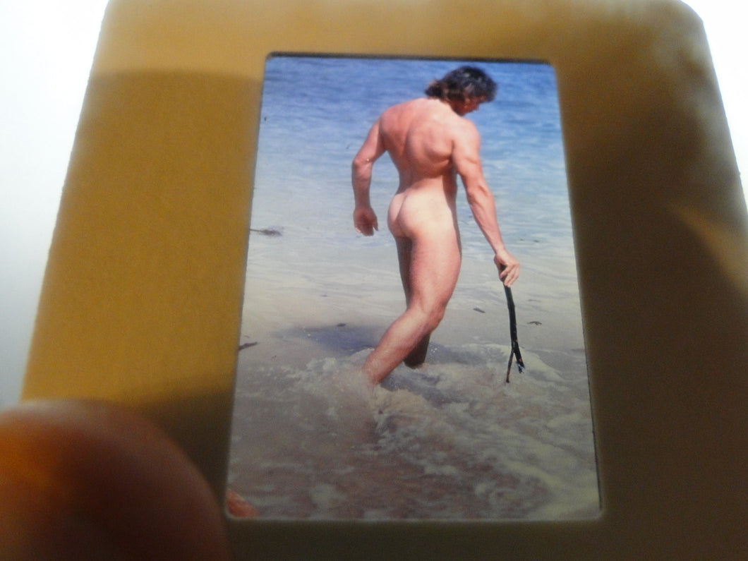 VINTAGE SLIDE/PHOTO MALE GAY INTEREST BEEFCAKE MUSCLE NUDE HOT HUNG A26p