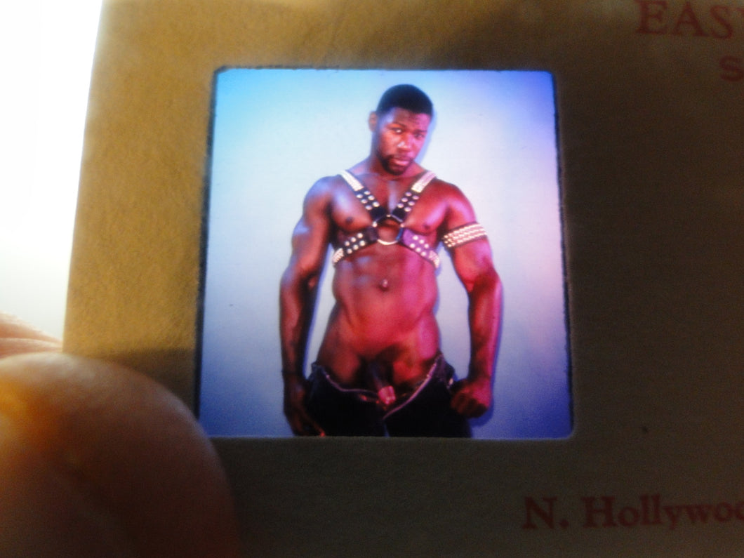 Vintage Adult Erotic 3D Stereoview Nude Hot Hung Black Gay Man Slide B40s