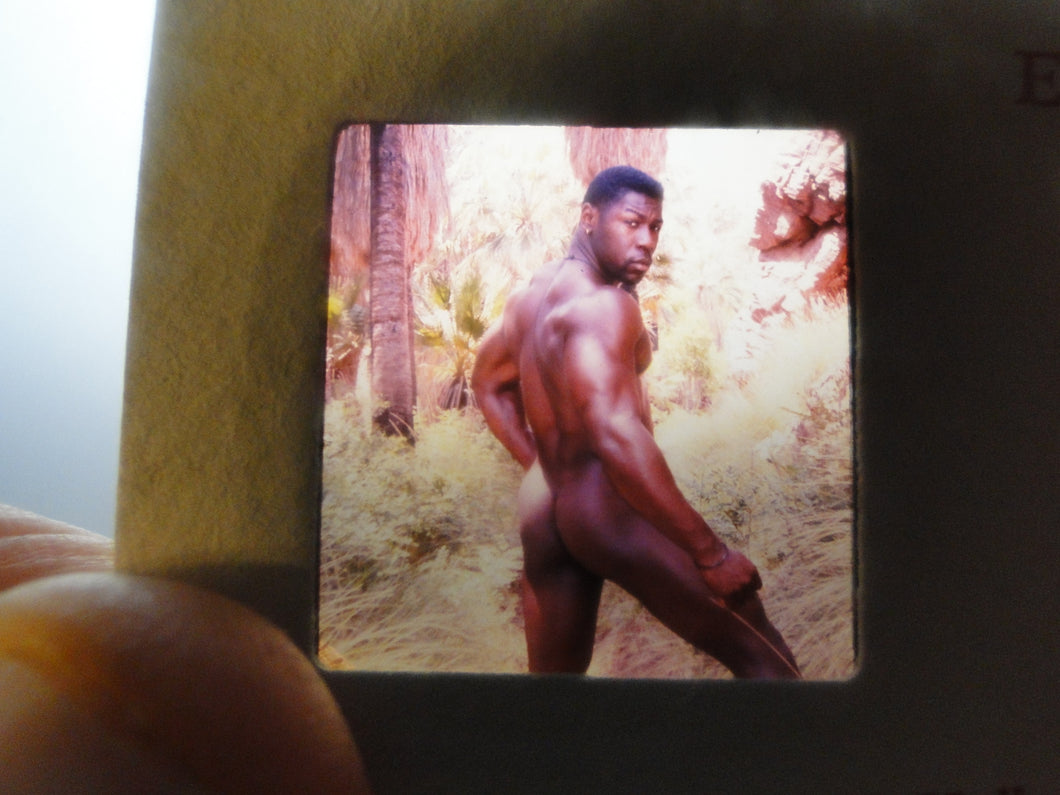 Vintage Adult Erotic 3D Stereoview Nude Hot Hung Black Gay Man Slide B40x