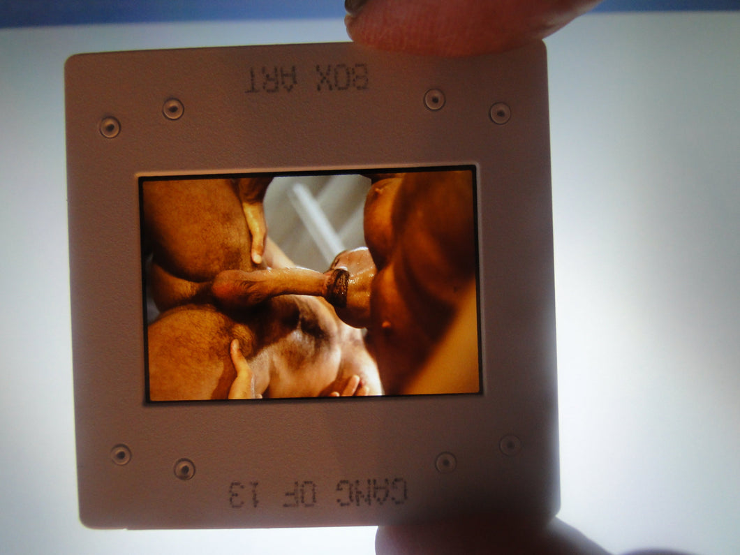 VINTAGE 35MM GAY MALE SLIDE BEEFCAKE MUSCLE NUDE FALCON STUDIOS R3