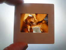 Load image into Gallery viewer, VINTAGE 35MM GAY MALE SLIDE BEEFCAKE MUSCLE NUDE FALCON STUDIOS R9
