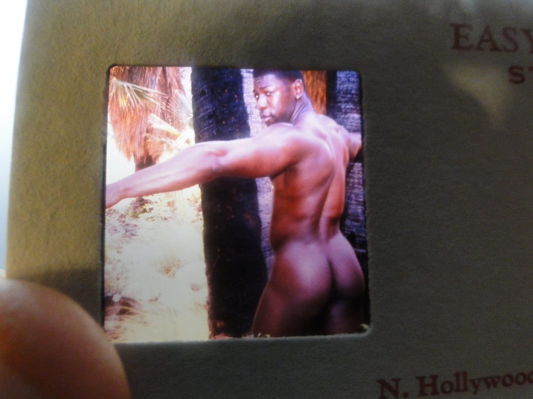Vintage Adult Erotic 3D Stereoview Nude Hot Hung Gay Black Man Slide A70a