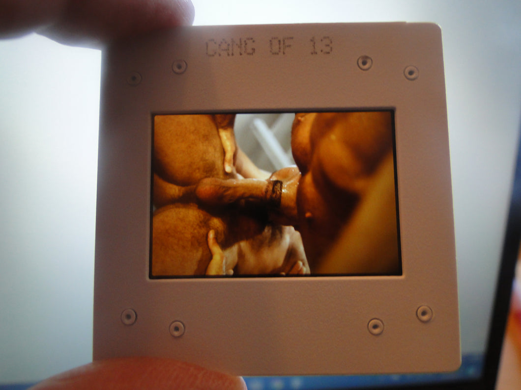 VINTAGE 35MM GAY MALE SLIDE BEEFCAKE MUSCLE NUDE FALCON STUDIOS R2k