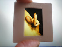 Load image into Gallery viewer, VINTAGE 35MM GAY MALE SLIDE BEEFCAKE MUSCLE NUDE FALCON STUDIOS R3a
