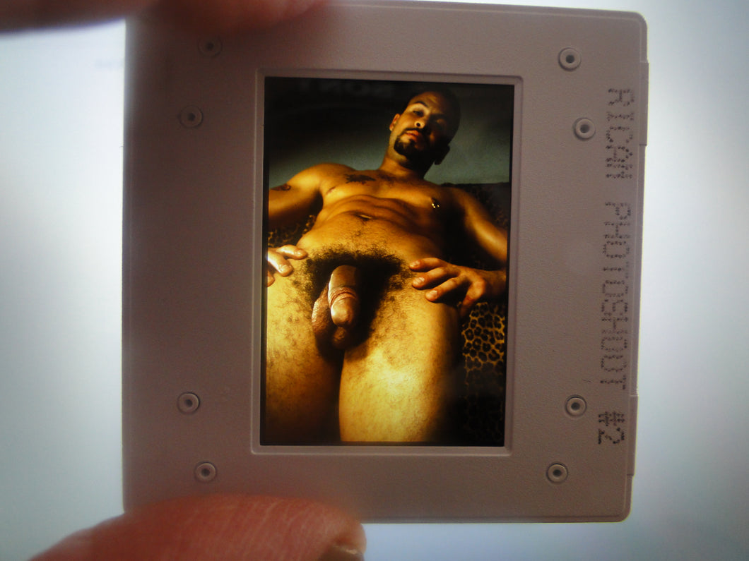 VINTAGE 35MM GAY MALE SLIDE BEEFCAKE MUSCLE NUDE FALCON STUDIOS R3k