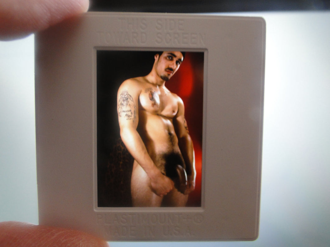 VINTAGE 35MM GAY MALE SLIDE BEEFCAKE MUSCLE NUDE FALCON STUDIOS R3l