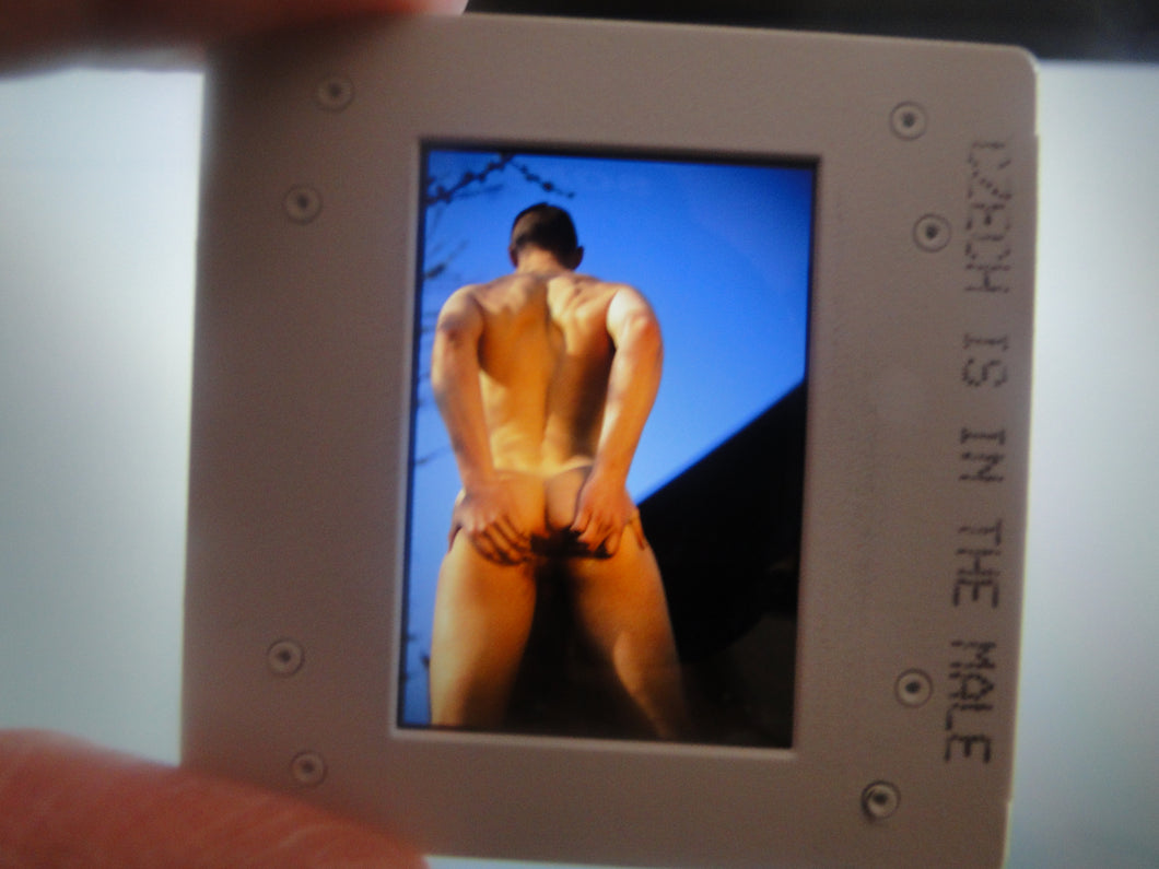 VINTAGE 35MM GAY MALE SLIDE BEEFCAKE MUSCLE NUDE FALCON STUDIOS R3t
