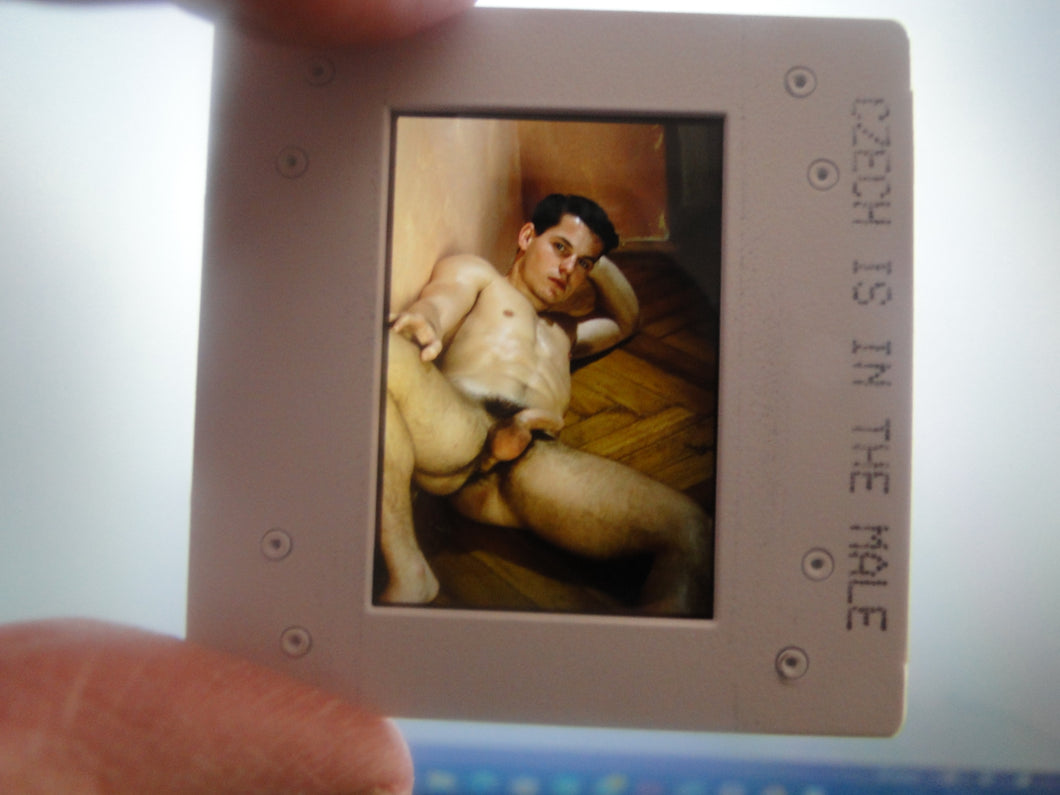 VINTAGE 35MM GAY MALE SLIDE BEEFCAKE MUSCLE NUDE FALCON STUDIOS R3v