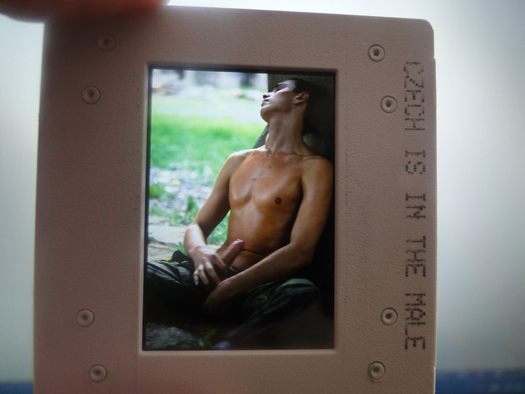 VINTAGE 35MM GAY MALE SLIDE BEEFCAKE MUSCLE NUDE FALCON STUDIOS R3w