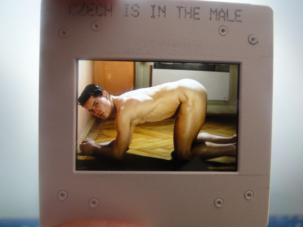 VINTAGE 35MM GAY MALE SLIDE BEEFCAKE MUSCLE NUDE FALCON STUDIOS R3x
