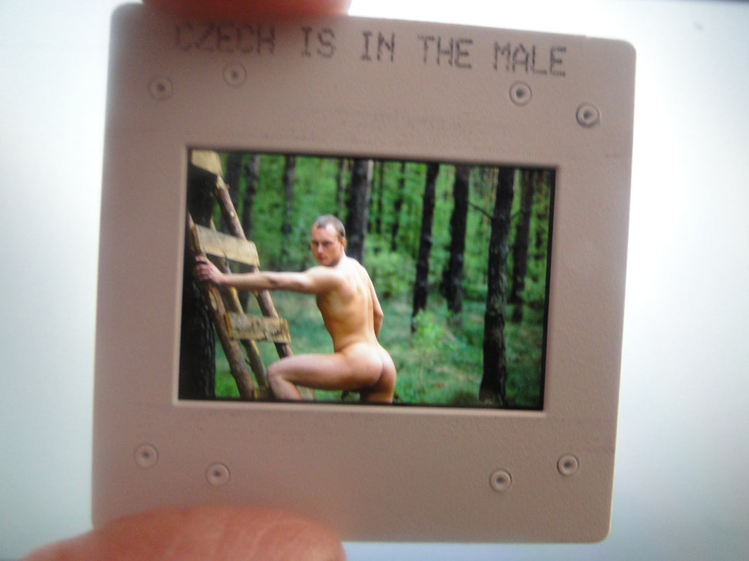 VINTAGE 35MM GAY MALE SLIDE BEEFCAKE MUSCLE NUDE FALCON STUDIOS R3y