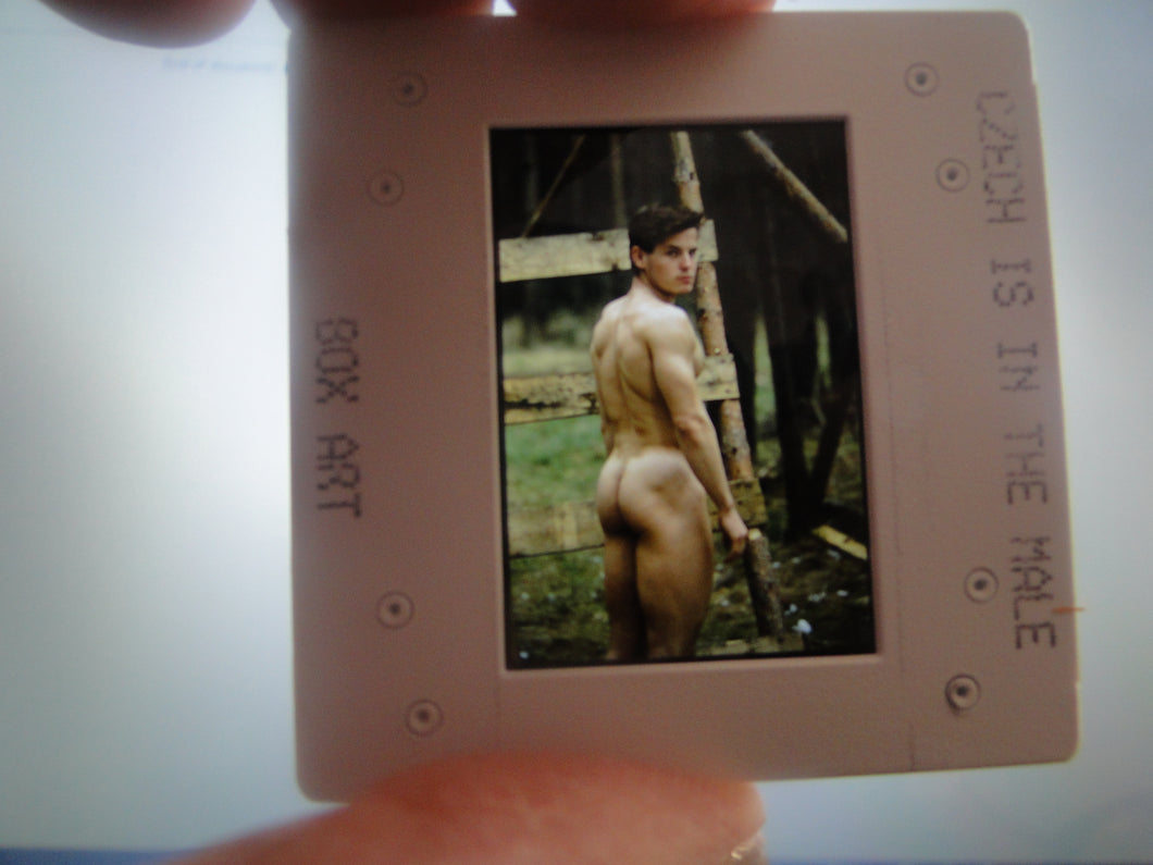 VINTAGE 35MM GAY MALE SLIDE BEEFCAKE MUSCLE NUDE FALCON STUDIOS R4e