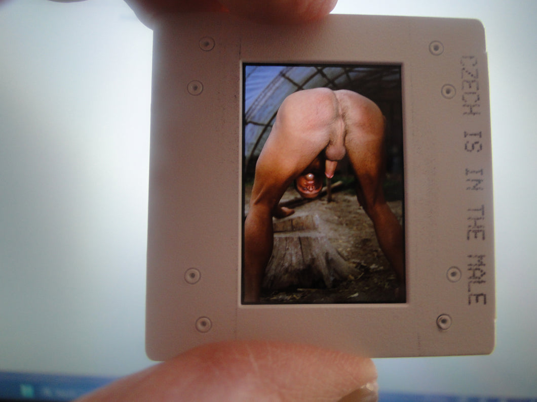 VINTAGE 35MM GAY MALE SLIDE BEEFCAKE MUSCLE NUDE FALCON STUDIOS R4f