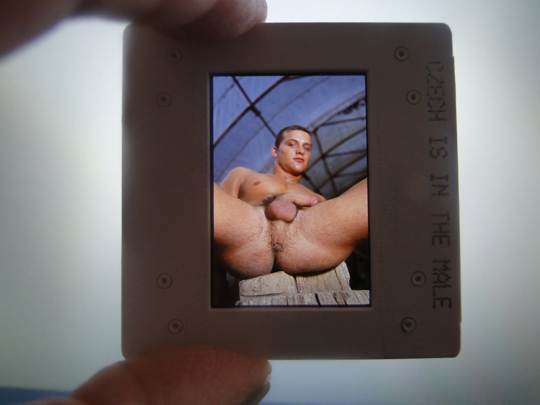 VINTAGE 35MM GAY MALE SLIDE BEEFCAKE MUSCLE NUDE FALCON STUDIOS R4l
