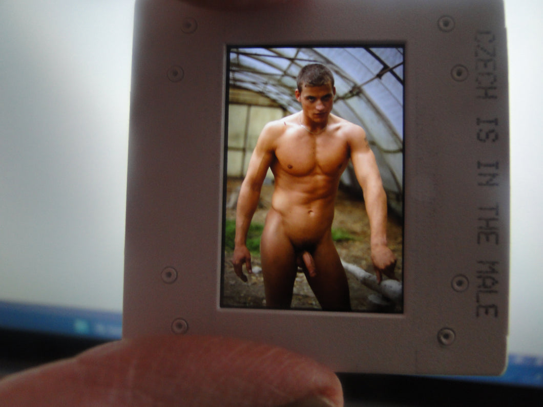 VINTAGE 35MM GAY MALE SLIDE BEEFCAKE MUSCLE NUDE FALCON STUDIOS R4r